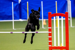 2023-AADTC-April-Trial-383