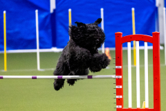 2023-AADTC-April-Trial-384