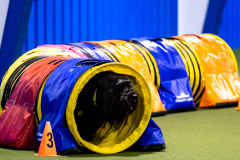 2023-AADTC-April-Trial-385