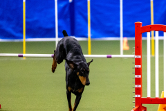 2023-AADTC-April-Trial-386