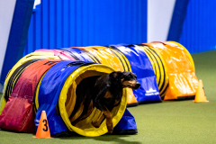 2023-AADTC-April-Trial-387