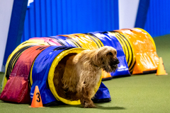 2023-AADTC-April-Trial-389