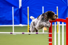 2023-AADTC-April-Trial-391