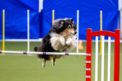 2023-AADTC-April-Trial-393