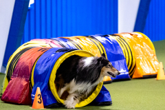 2023-AADTC-April-Trial-394