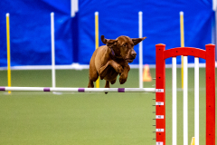 2023-AADTC-April-Trial-395