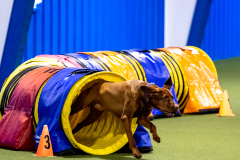 2023-AADTC-April-Trial-396