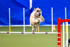 2023-AADTC-April-Trial-397