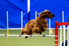 2023-AADTC-April-Trial-399