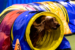 2023-AADTC-April-Trial-400