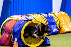 2023-AADTC-April-Trial-401