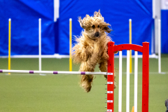 2023-AADTC-April-Trial-405