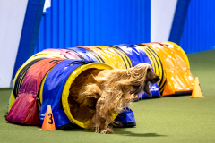 2023-AADTC-April-Trial-407