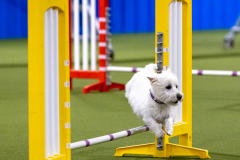 2023-AADTC-April-Trial-410