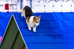 2023-AADTC-April-Trial-411