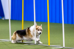 2023-AADTC-April-Trial-414