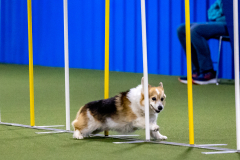 2023-AADTC-April-Trial-415