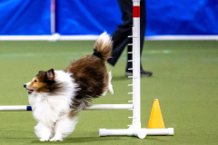 2023-AADTC-April-Trial-419