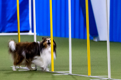 2023-AADTC-April-Trial-420