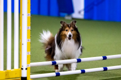 2023-AADTC-April-Trial-423