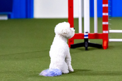 2023-AADTC-April-Trial-424