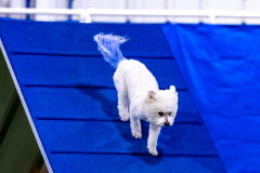 2023-AADTC-April-Trial-425