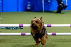 2023-AADTC-April-Trial-426