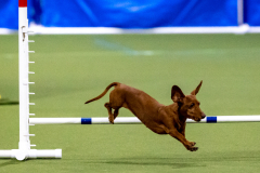 2023-AADTC-April-Trial-429