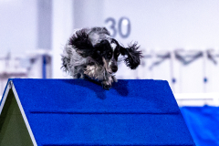 2023-AADTC-April-Trial-430