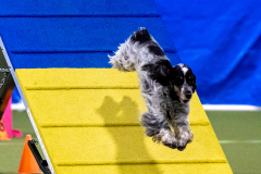 2023-AADTC-April-Trial-431