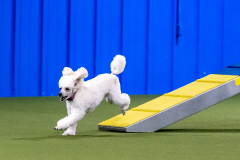 2023-AADTC-April-Trial-434