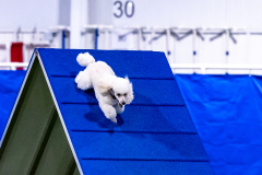 2023-AADTC-April-Trial-435