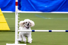 2023-AADTC-April-Trial-436