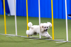 2023-AADTC-April-Trial-438