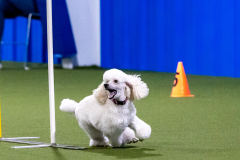 2023-AADTC-April-Trial-440