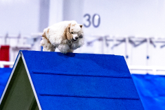 2023-AADTC-April-Trial-441