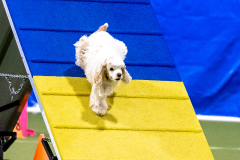 2023-AADTC-April-Trial-442