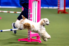 2023-AADTC-April-Trial-443