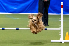 2023-AADTC-April-Trial-444