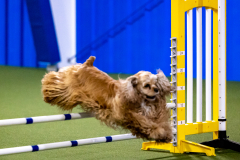 2023-AADTC-April-Trial-445