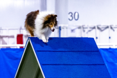 2023-AADTC-April-Trial-446