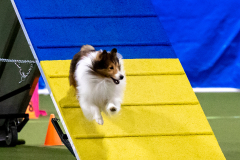 2023-AADTC-April-Trial-447