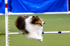 2023-AADTC-April-Trial-448