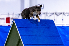 2023-AADTC-April-Trial-450