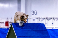 2023-AADTC-April-Trial-452