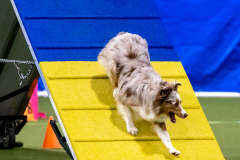 2023-AADTC-April-Trial-453