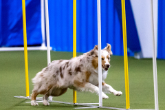 2023-AADTC-April-Trial-454