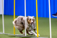 2023-AADTC-April-Trial-456