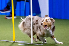 2023-AADTC-April-Trial-458