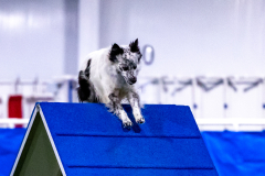 2023-AADTC-April-Trial-460